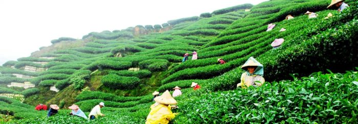 hill station in India