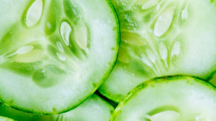 Best Cooling Foods for Indian Summer